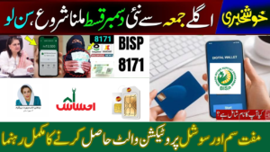 8171 BISP Free SIM and wallet