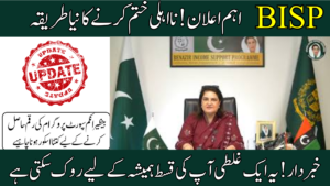 BISP Disqualification Payment January 2026 1 1
