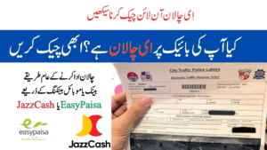 E Challan By Vehicle Number 2026