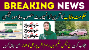 Eligibility Of Green E Taxi Scheme Punjab