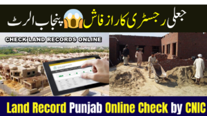 How to Check Property Ownership Online in Punjab
