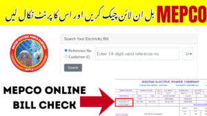 MEPCO Online Bill Check