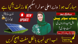 Punjab Solar Panel Scheme 2026 results