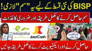bisp digital wallet